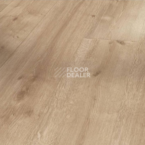 Ламинат Parador Basic Plus 400 1426462 Дуб Шлифованный фото 1 | FLOORDEALER